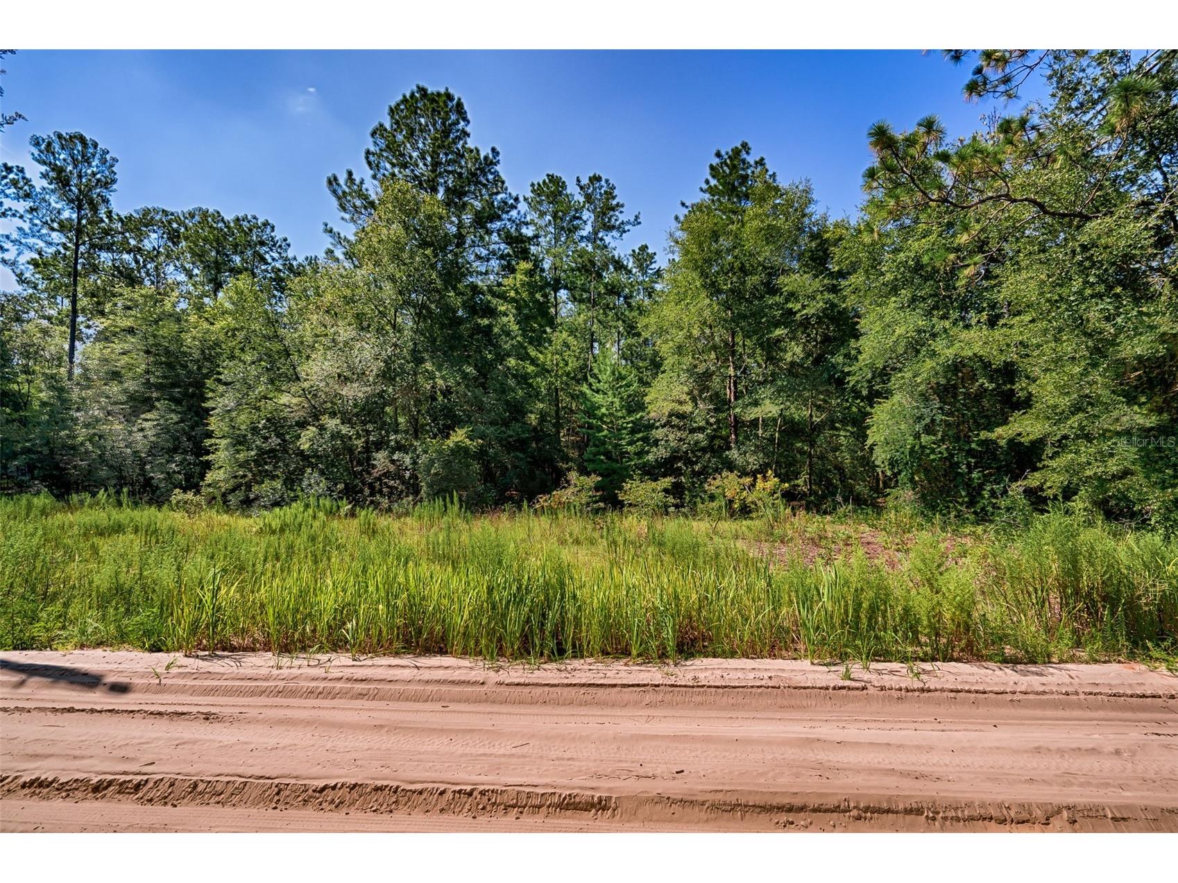 TBD NE 100th Avenue Bronson FL 32621 GC541227 image2