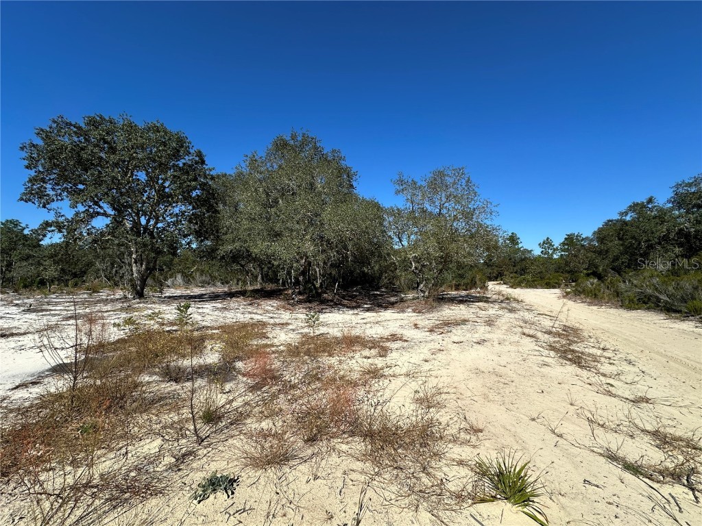 TBD NE 100th Avenue Bronson FL 32621 OM711856 image3