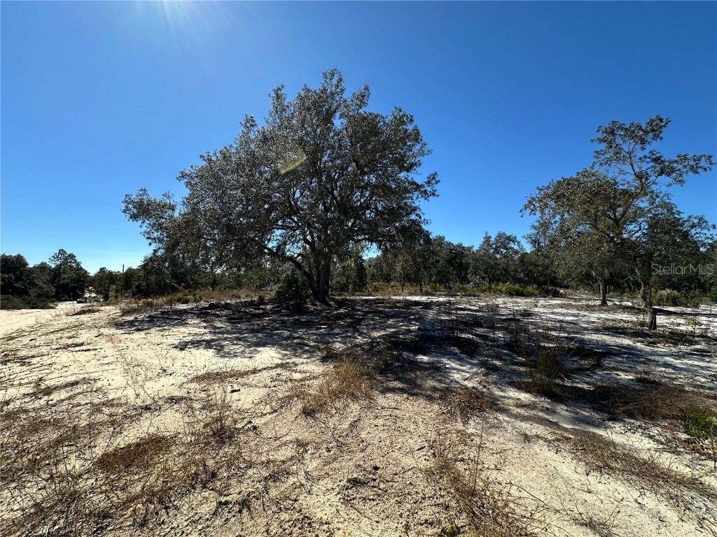 TBD NE 100th Avenue Bronson FL 32621 OM711856 image4