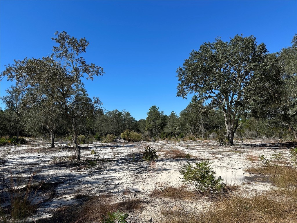 TBD NE 100th Avenue Bronson FL 32621 OM711856 image5