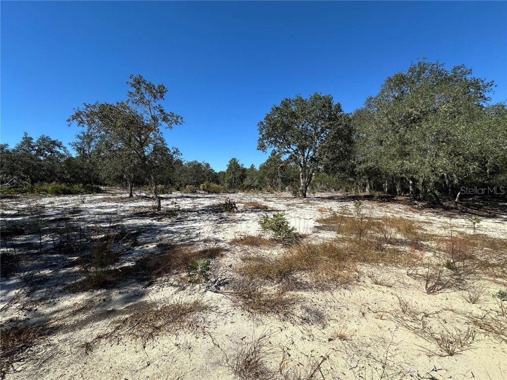 TBD NE 100th Avenue Bronson FL 32621 OM711856 image6