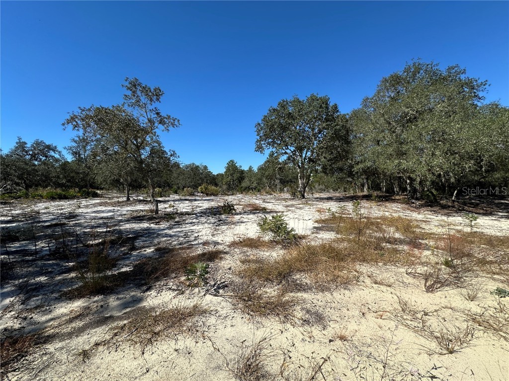 TBD NE 100th Avenue Bronson FL 32621 OM711856 image7