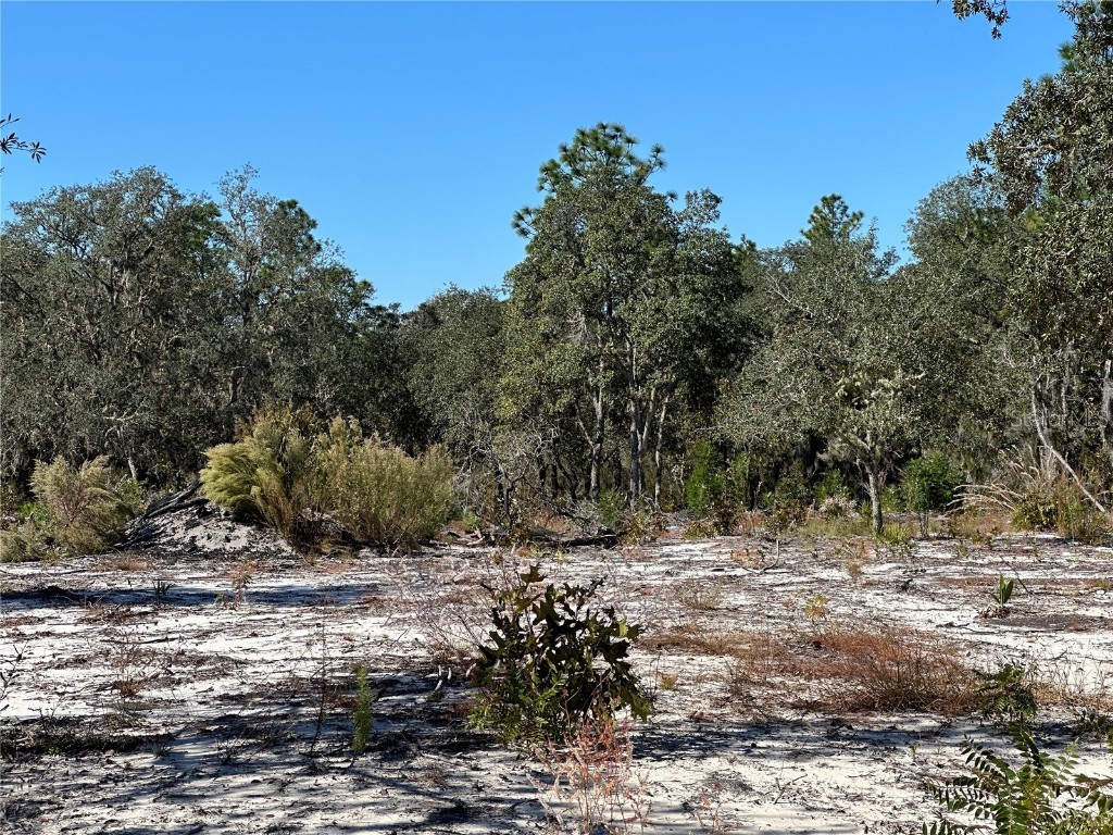 TBD NE 100th Avenue Bronson FL 32621 OM711856 image8