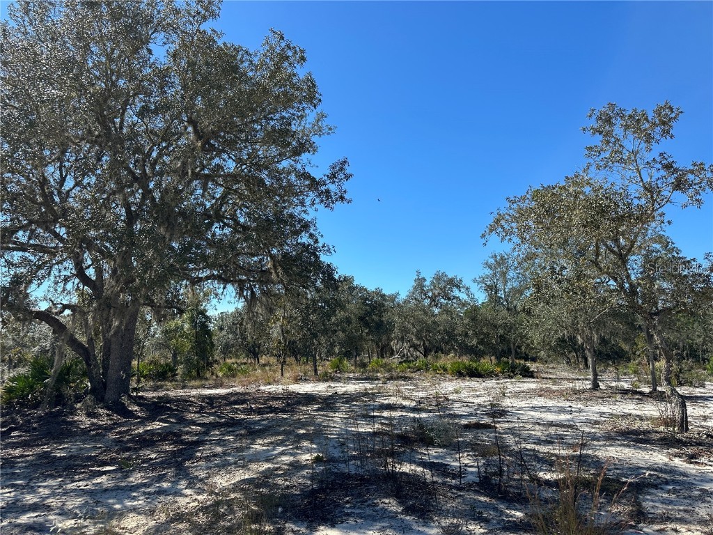 TBD NE 100th Avenue Bronson FL 32621 OM711856 image9