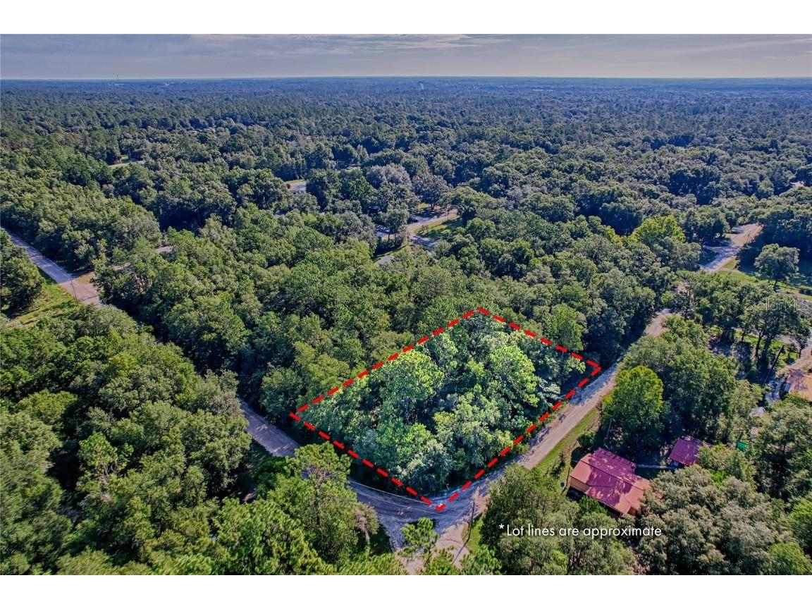 TBD NE 100th Court Bronson FL 32621 GC523882 image1