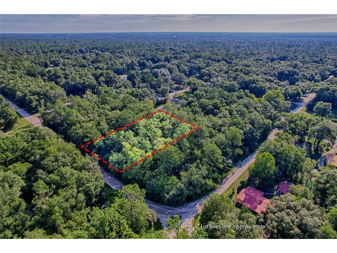 TBD NE 100th Court Bronson FL 32621 GC523883 image1