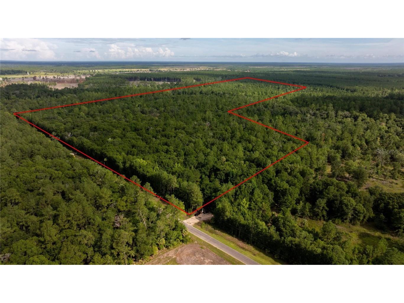 TBD NE 100th Street Fort Mc Coy FL 32134 OM681070 image1