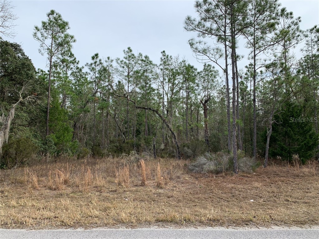 TBD NE 103rd Terrace Bronson FL 32621 OM648898 image1