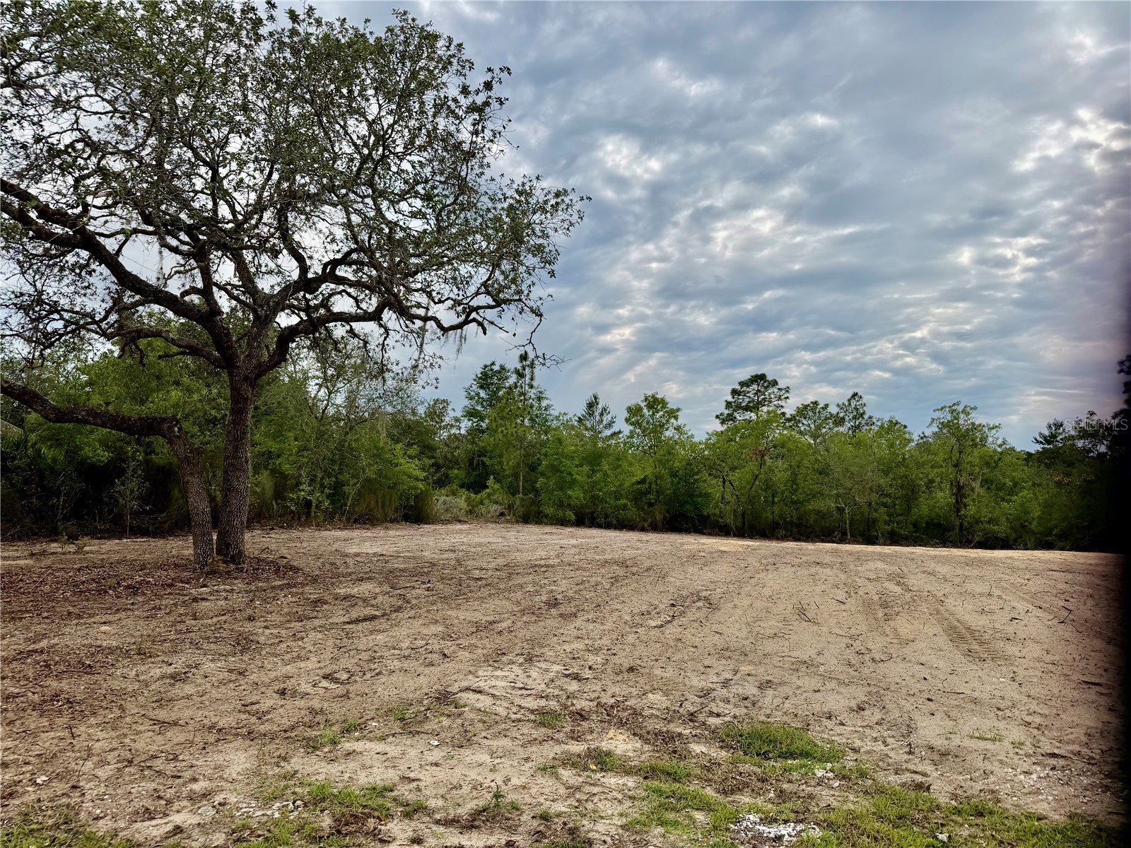 TBD NE 105th Avenue Bronson FL 32621 GC540386 image1