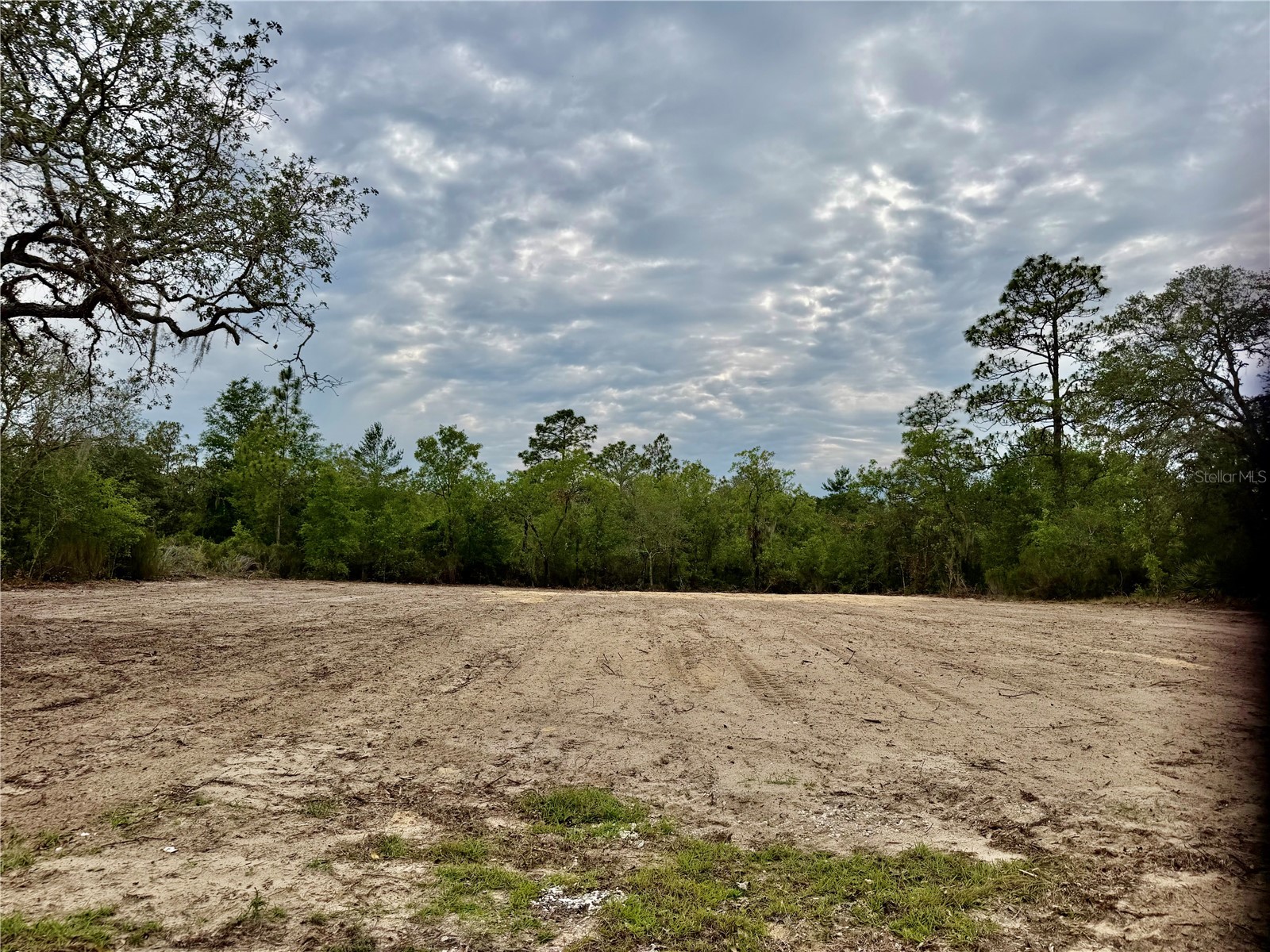 TBD NE 105th Avenue Bronson FL 32621 GC540386 image2