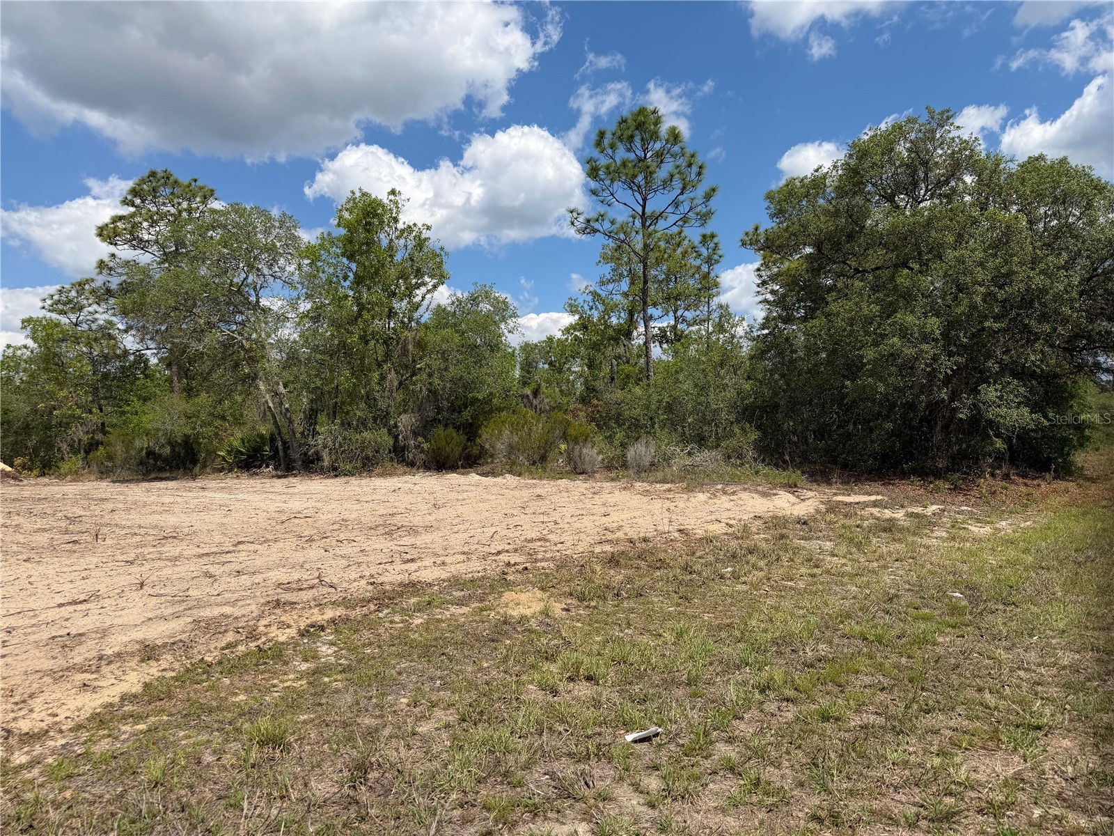 TBD NE 105th Avenue Bronson FL 32621 GC540386 image3