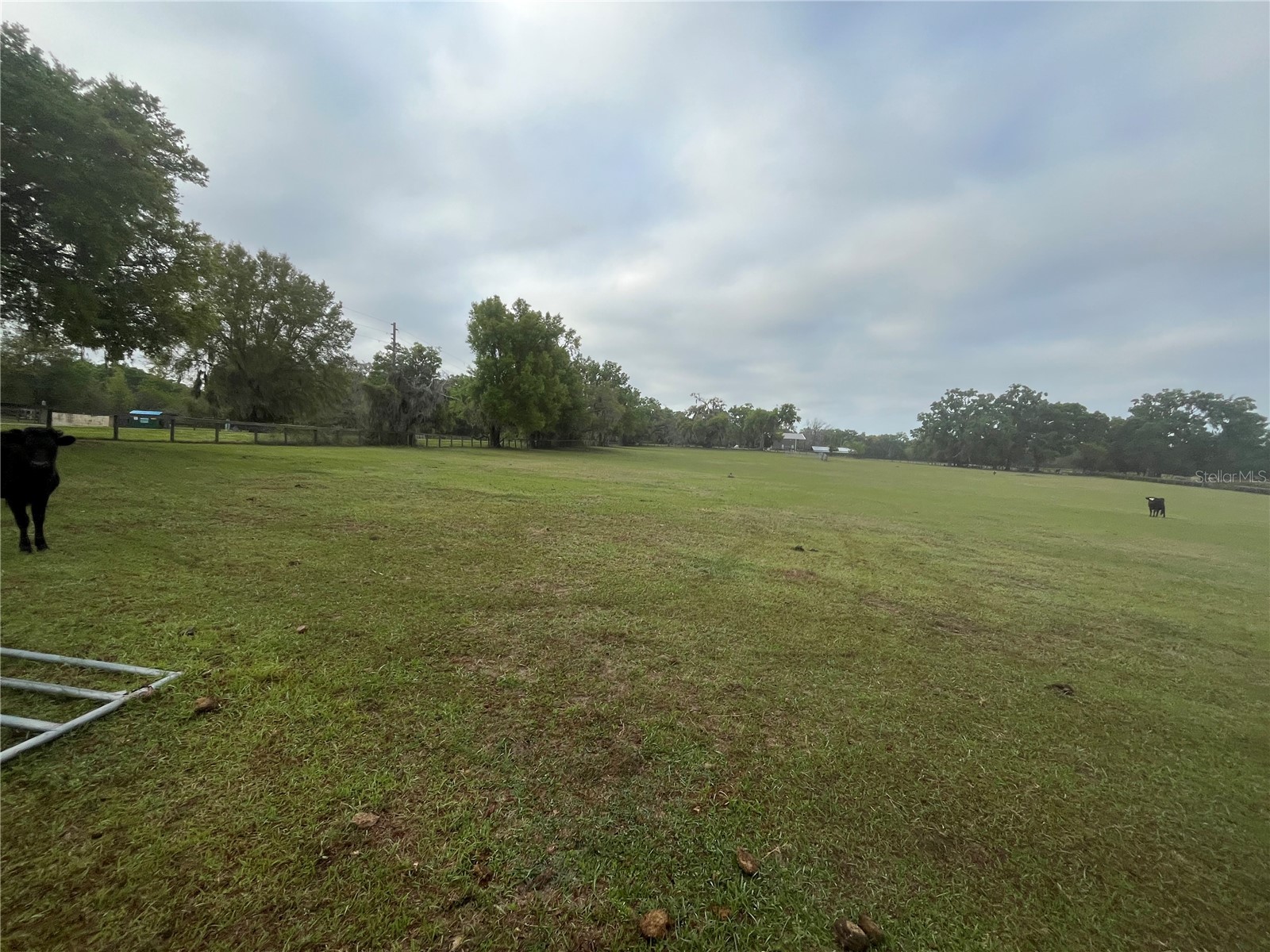 TBD NE 106th Street Anthony FL 32617 OM721744 image12
