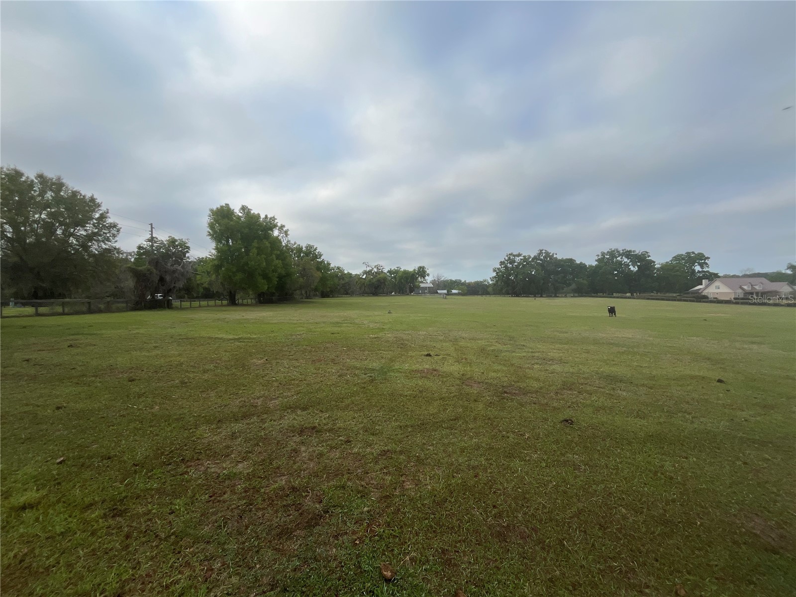 TBD NE 106th Street Anthony FL 32617 OM721744 image15