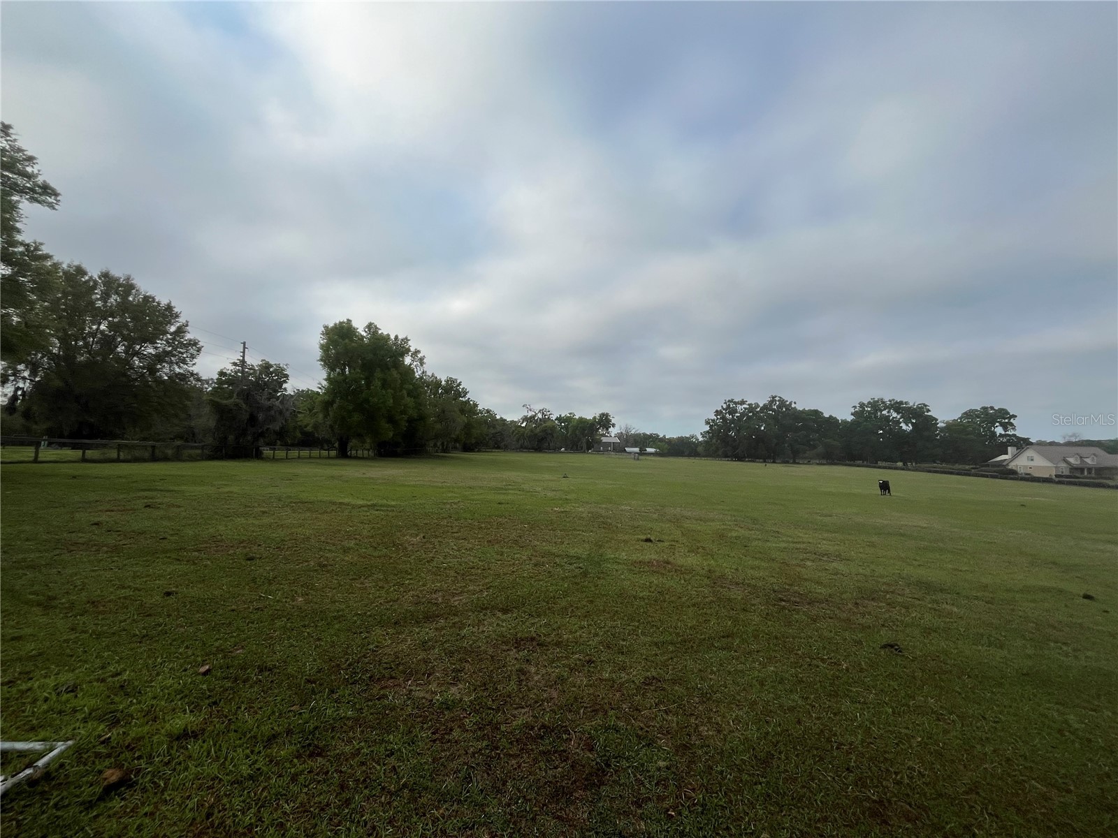 TBD NE 106th Street Anthony FL 32617 OM721744 image7