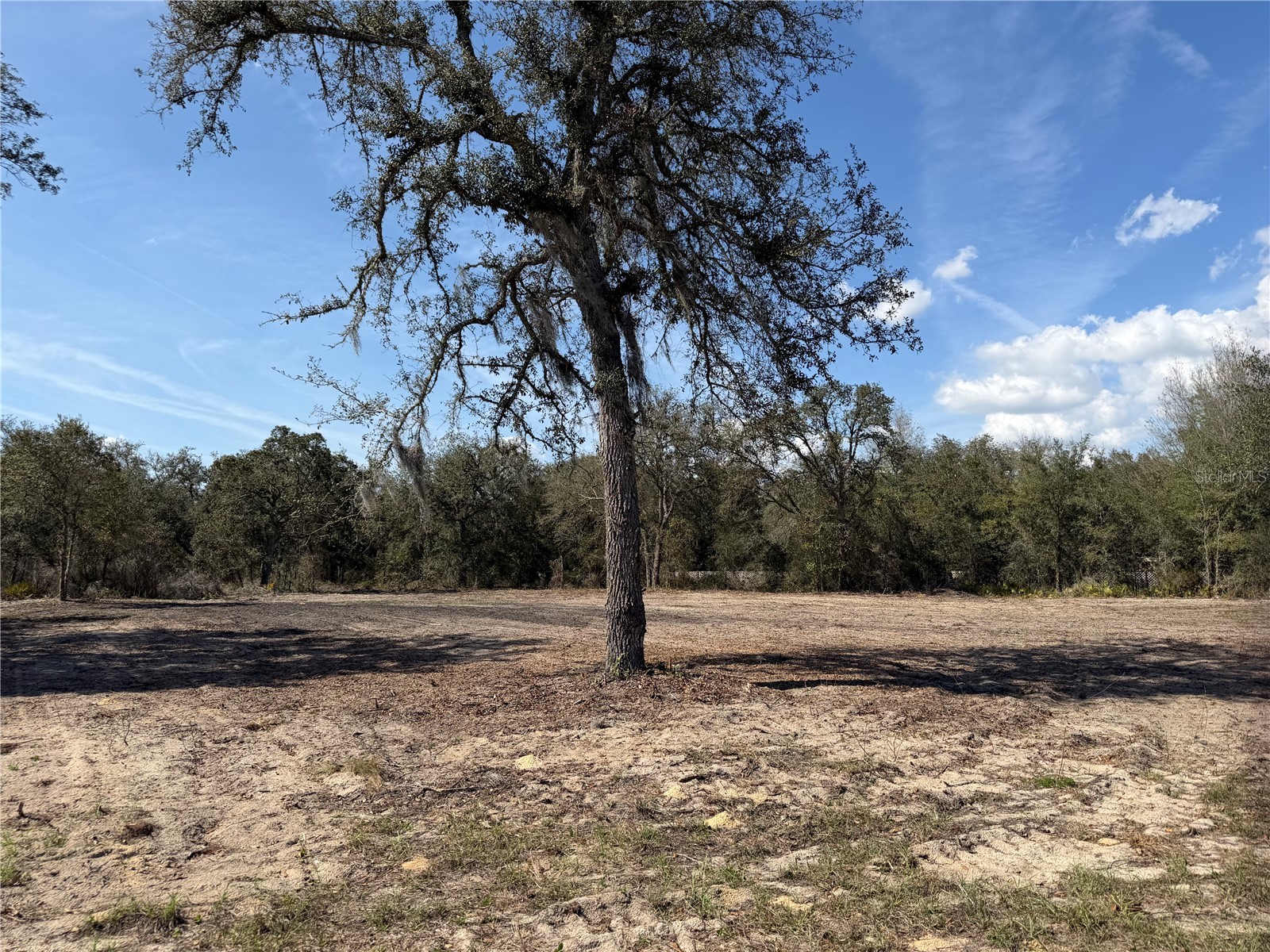 TBD NE 106th Terrace Bronson FL 32621 GC538293 image1
