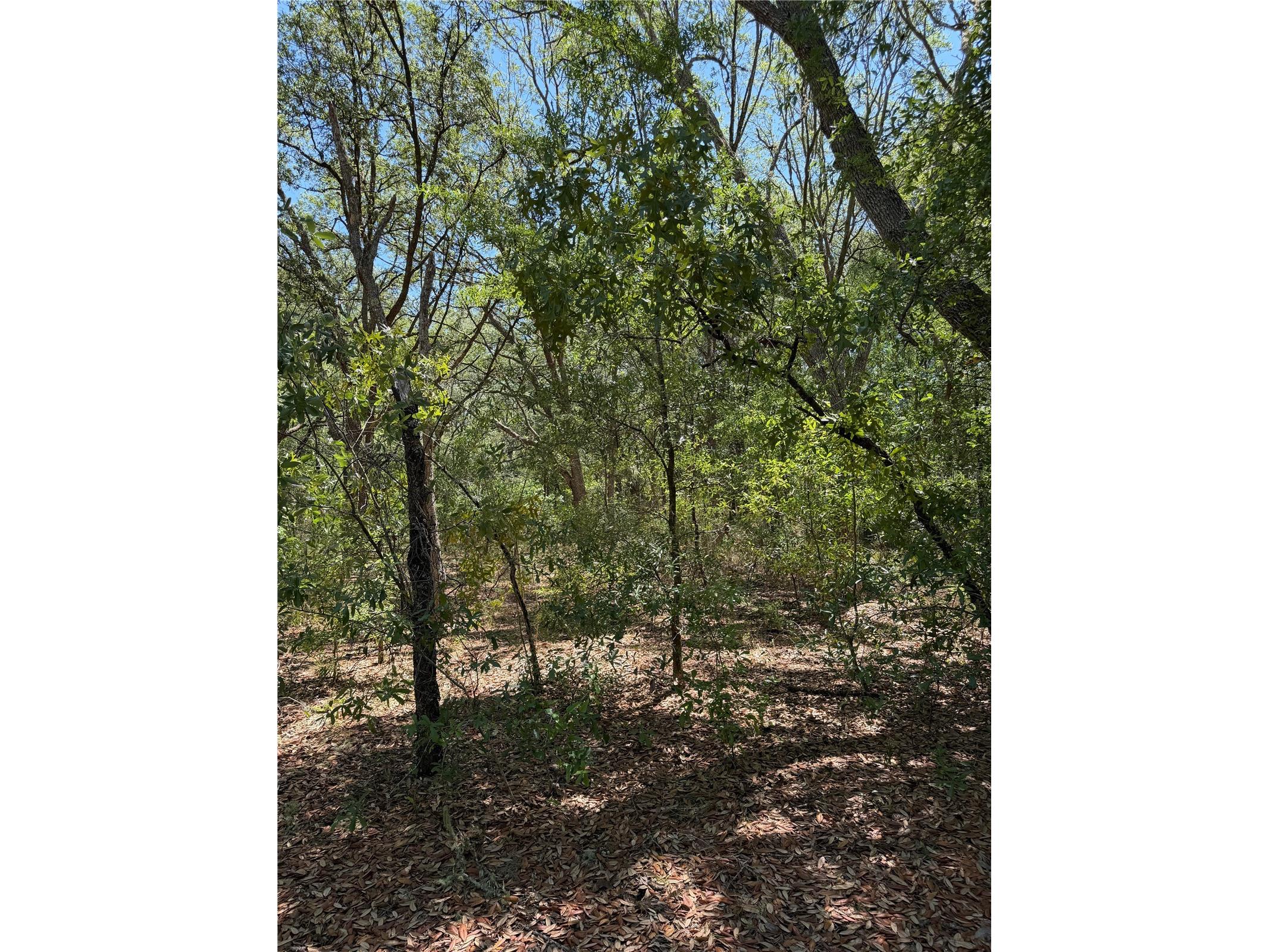 TBD Ne 107th Court Bronson FL 32621 OM725779 image2