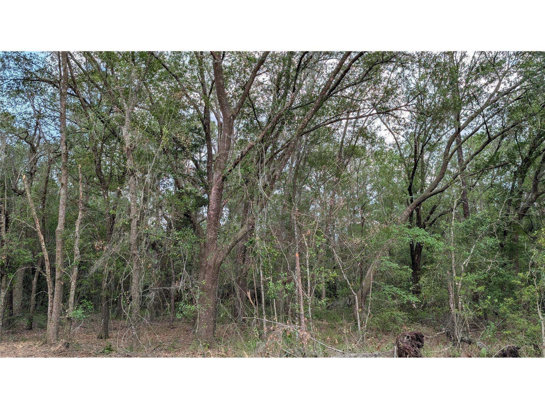 TBD NE 108th Place Waldo FL 32694 GC540156 image1