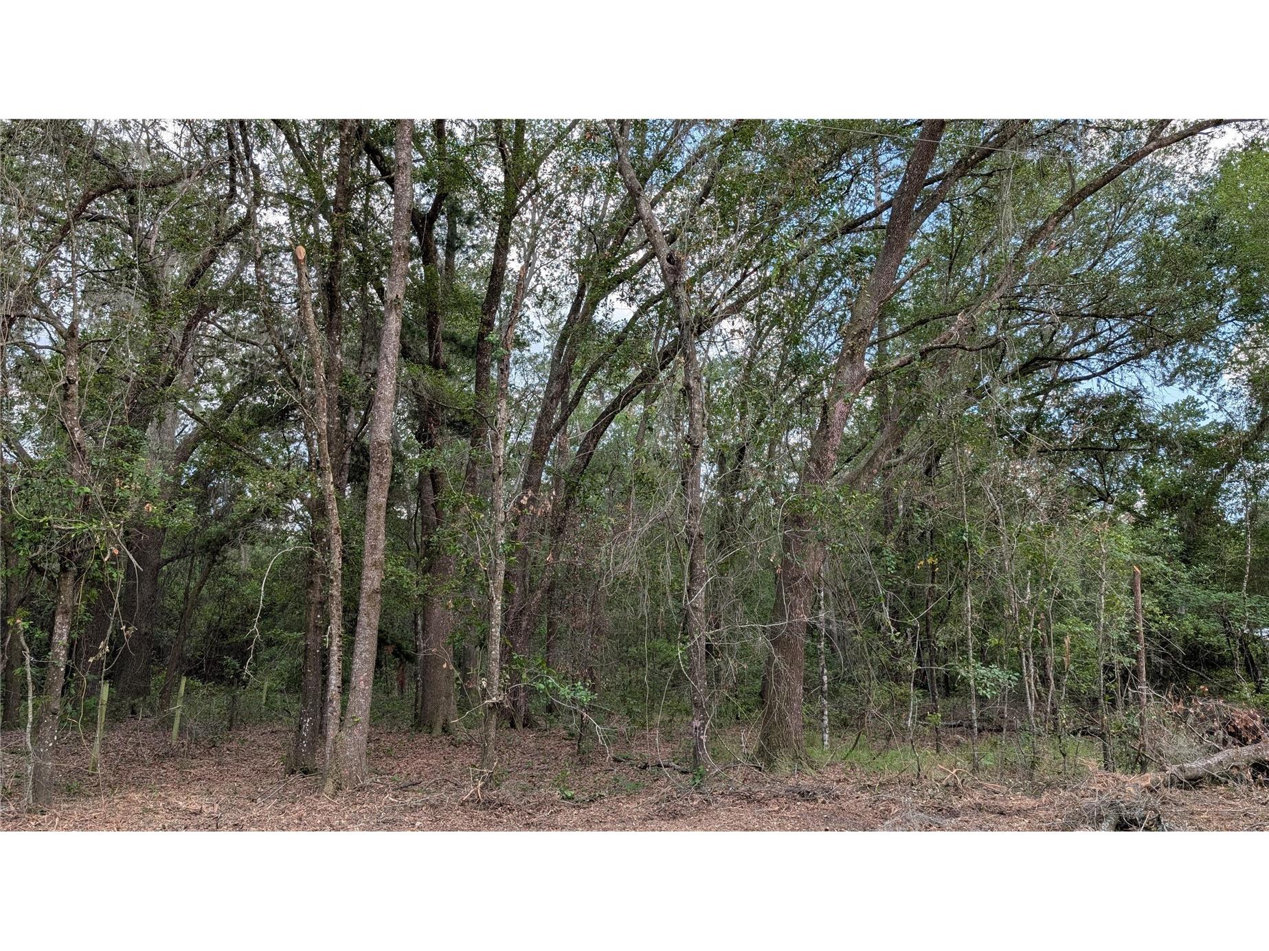 TBD NE 108th Place Waldo FL 32694 GC540156 image2