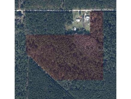 TBD NE 108th Place Waldo FL 32694 GC540156 image3
