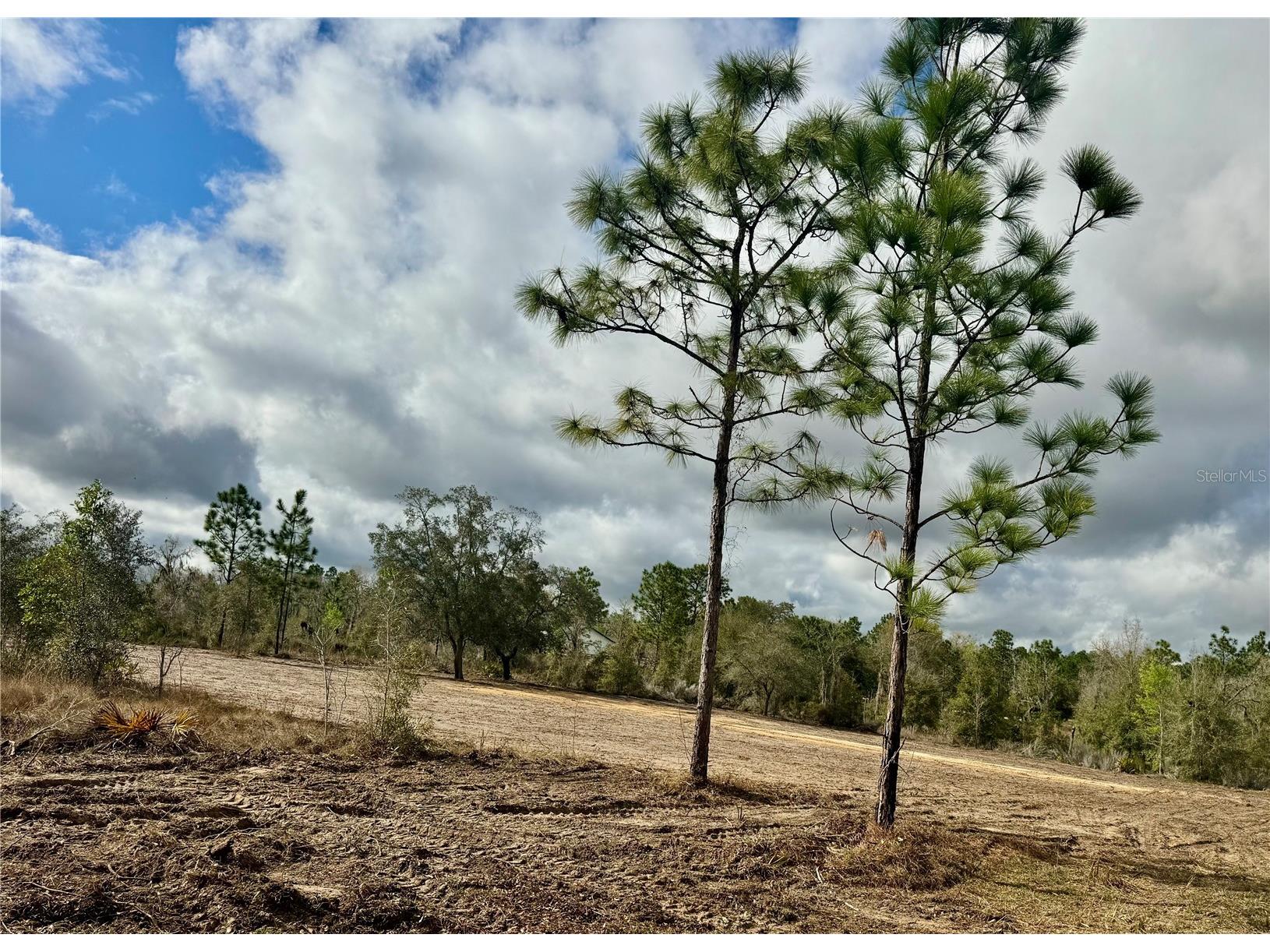 TBD NE 108th Terrace Archer FL 32618 GC538425 image5