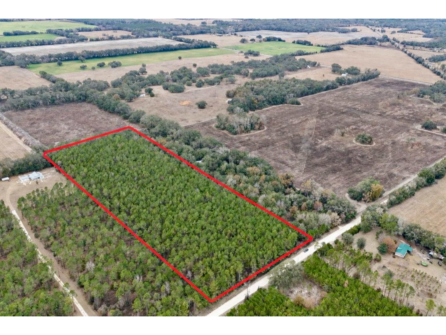 TBD NE 10th Avenue Trenton FL 32693 GC537533 image2