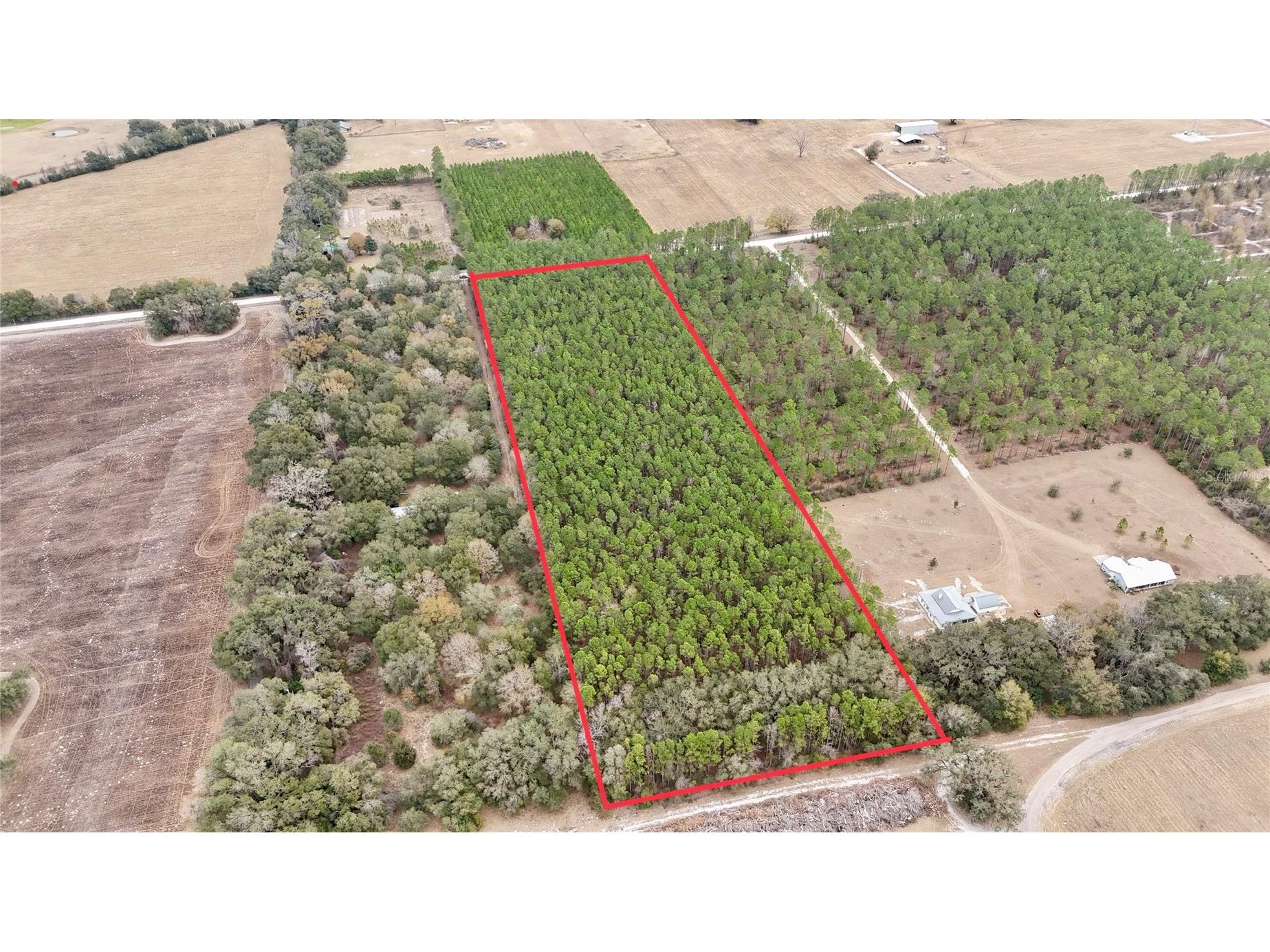 TBD NE 10th Avenue Trenton FL 32693 GC537533 image3