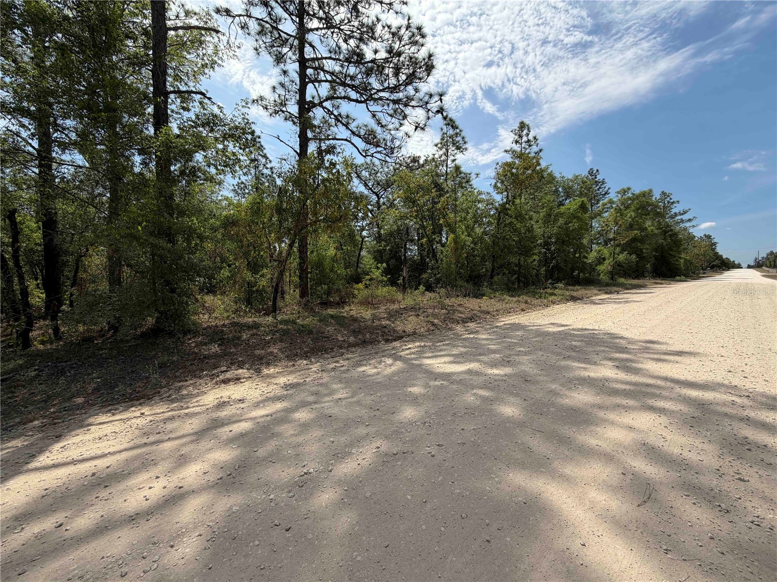 TBD NE 110 Avenue Bronson FL 32621 OM723764 image10