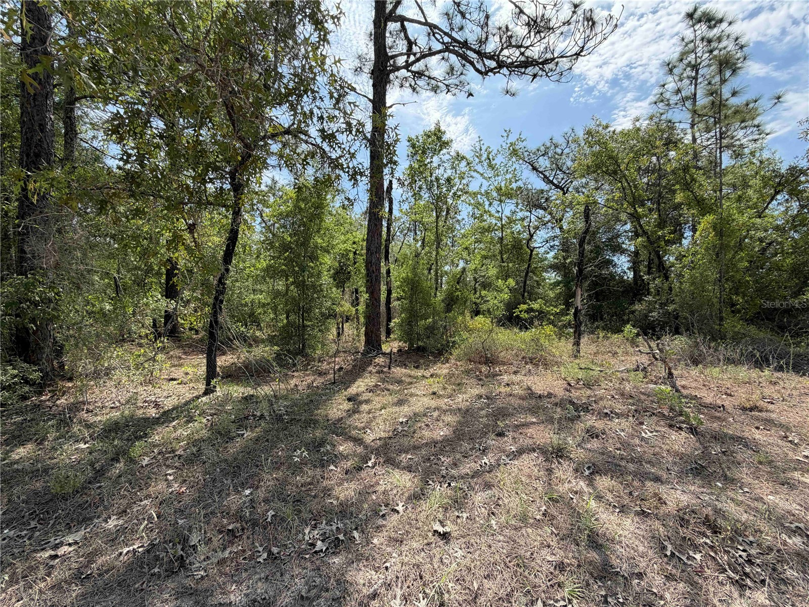 TBD NE 110 Avenue Bronson FL 32621 OM723764 image2