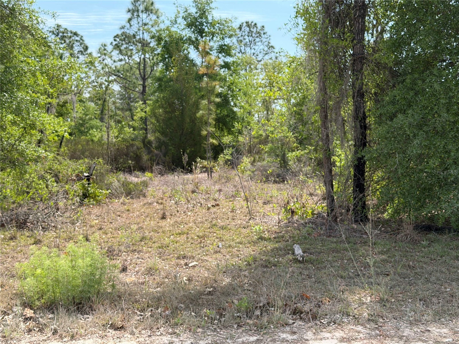 TBD NE 110 Avenue Bronson FL 32621 OM723764 image4