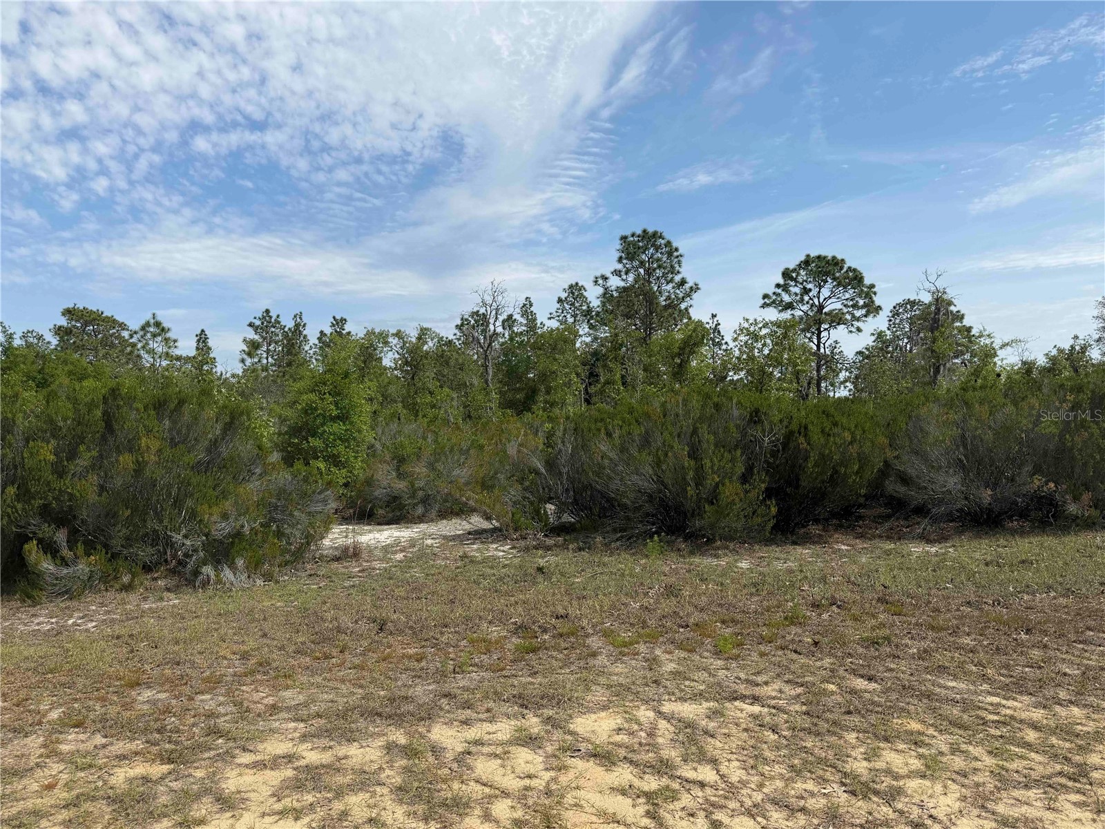 TBD NE 110 Avenue Bronson FL 32621 OM723764 image5