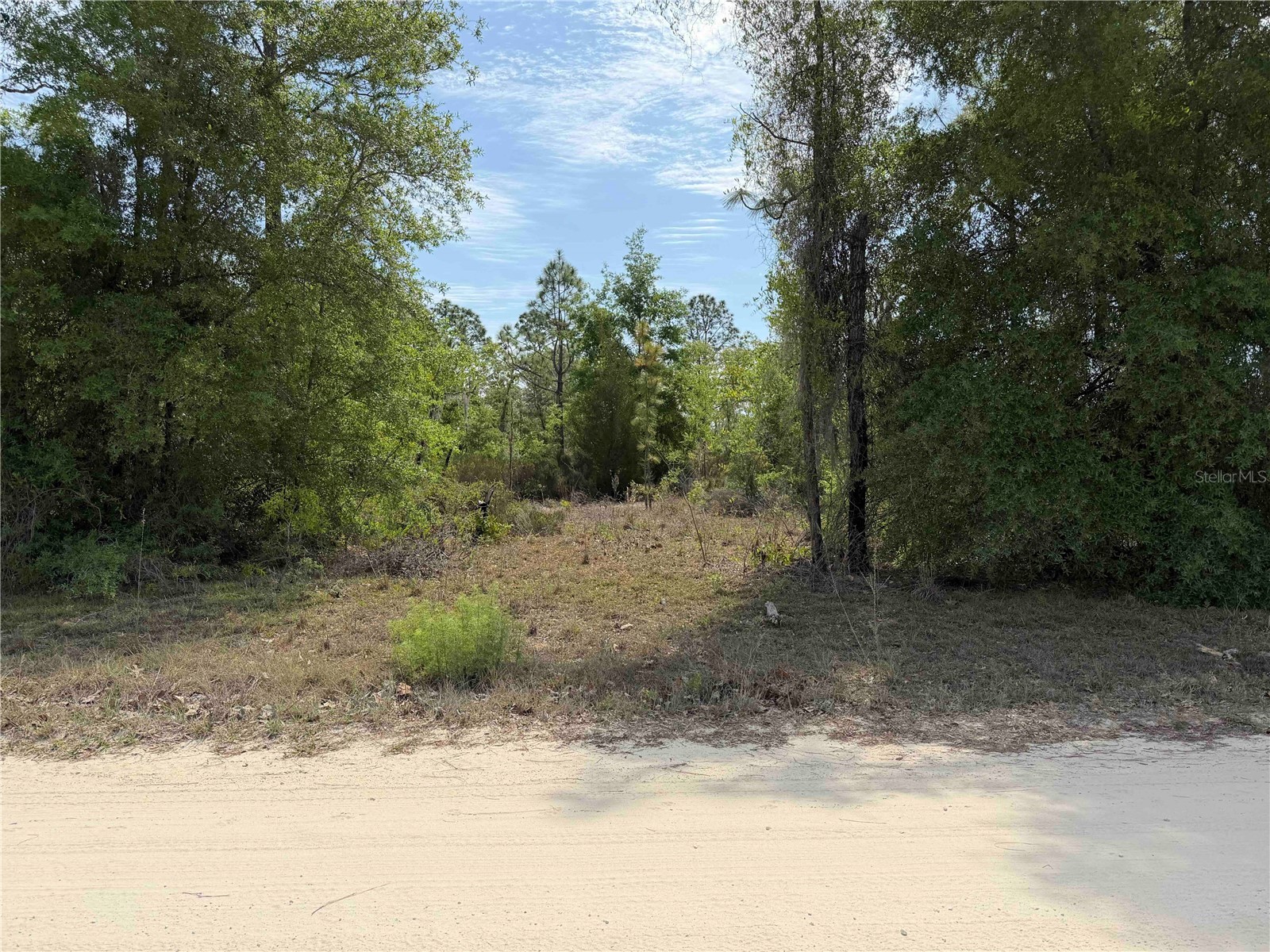 TBD NE 110 Avenue Bronson FL 32621 OM723764 image6