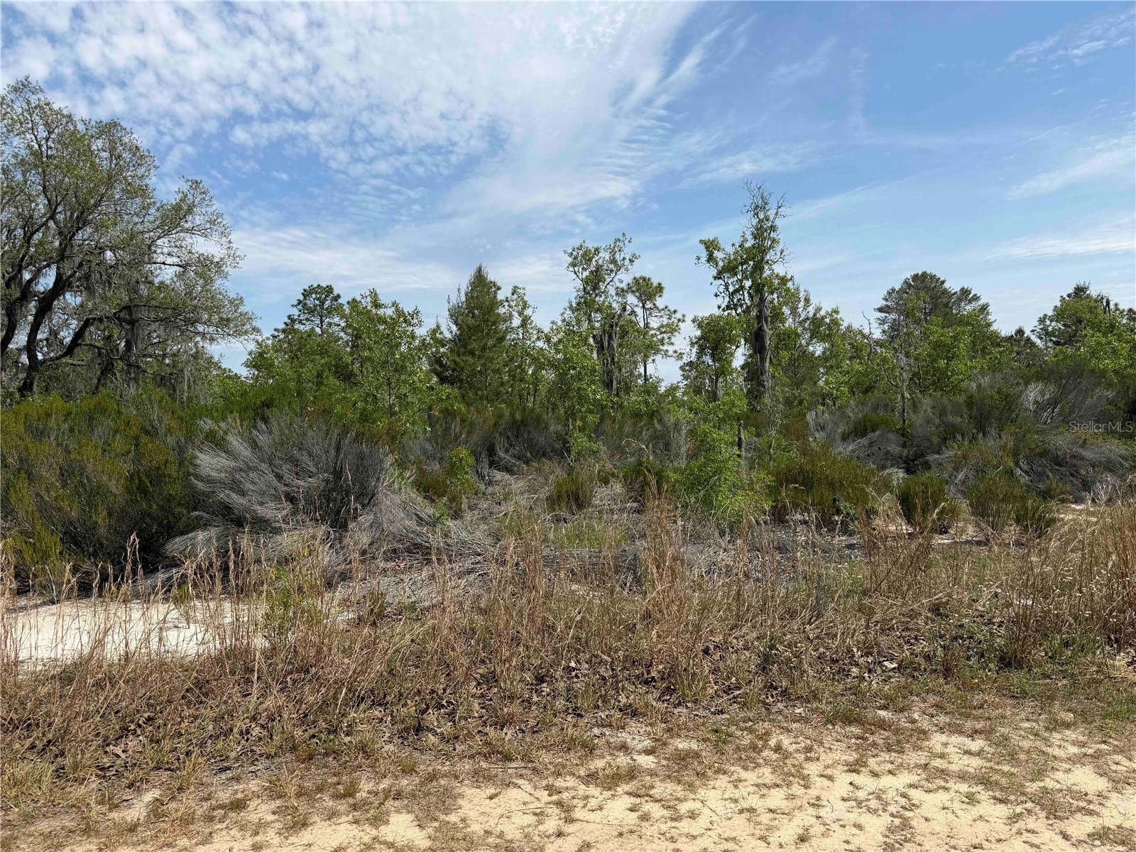 TBD NE 110 Avenue Bronson FL 32621 OM723764 image7