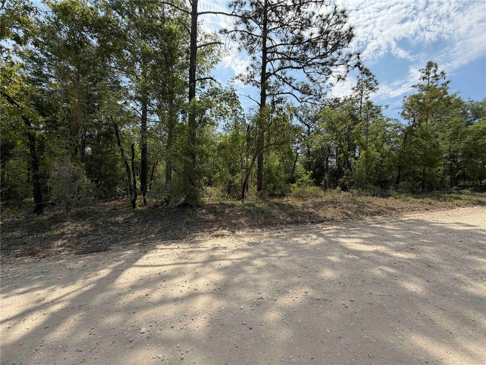 TBD NE 110 Avenue Bronson FL 32621 OM723764 image9