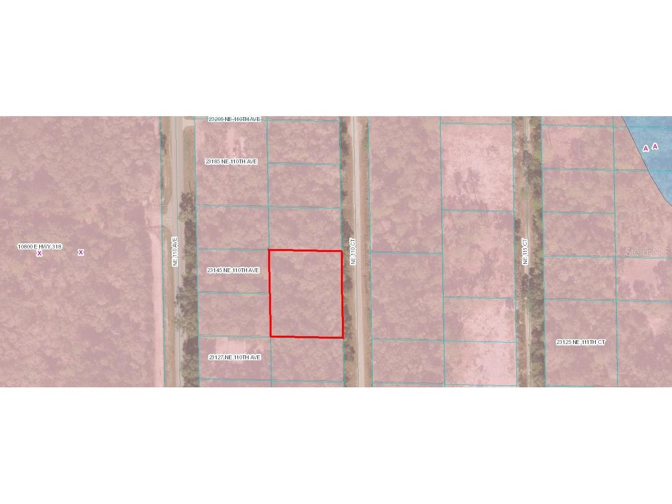 TBD NE 110 Court Fort Mc Coy FL 32134 OM676134 image3