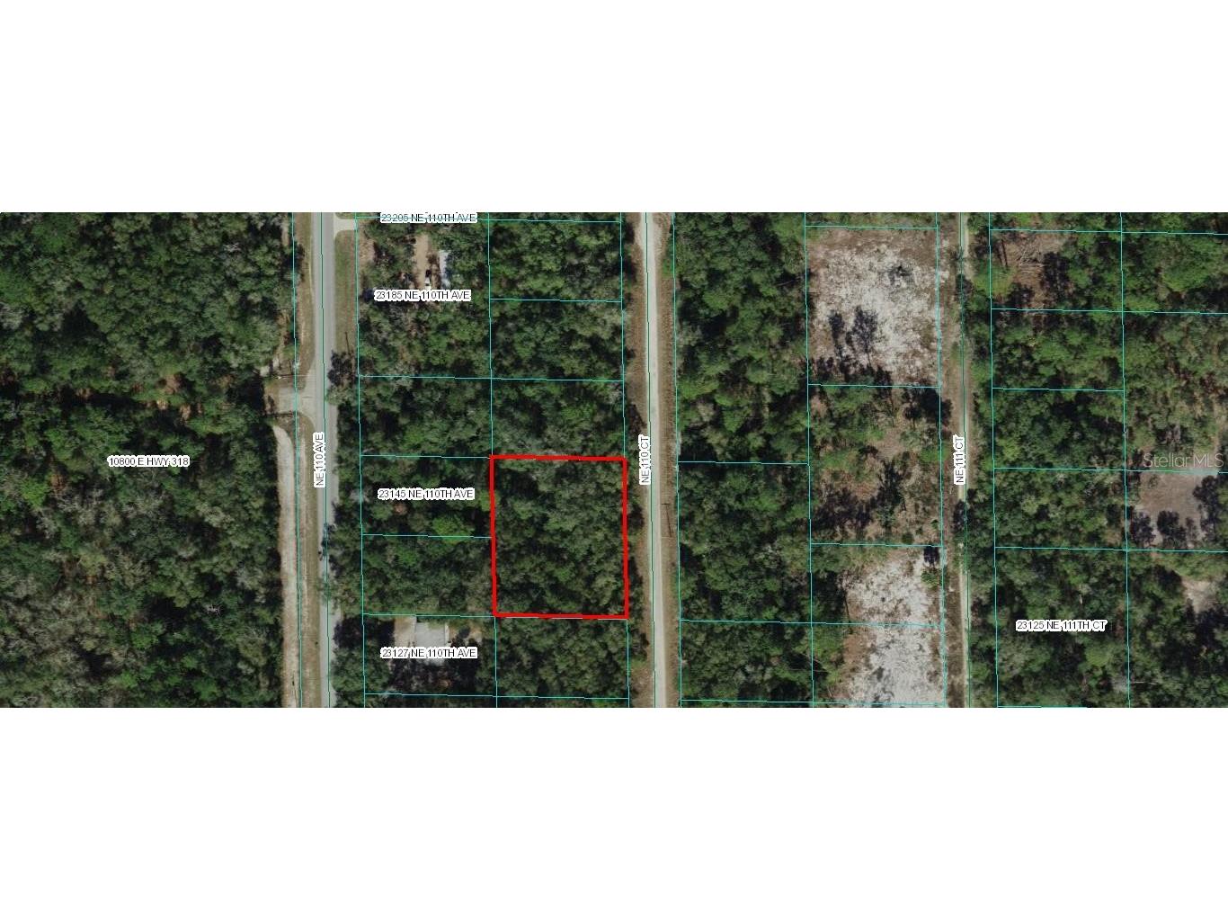 TBD NE 110 Court Fort Mc Coy FL 32134 OM676134 image4