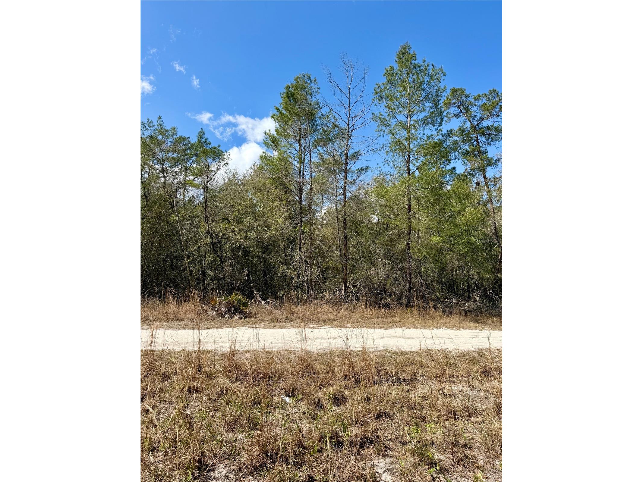 TBD NE 110th Court Fort Mc Coy FL 32134 OM719902 image1