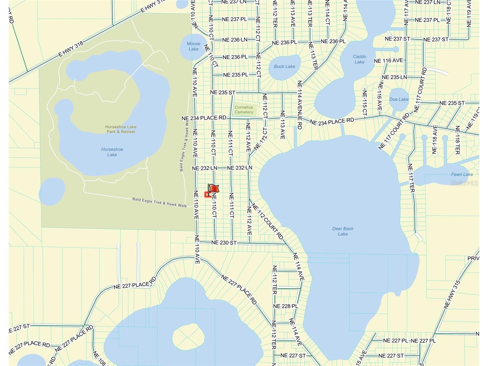 TBD NE 110th Court Fort Mc Coy FL 32134 OM719902 image3