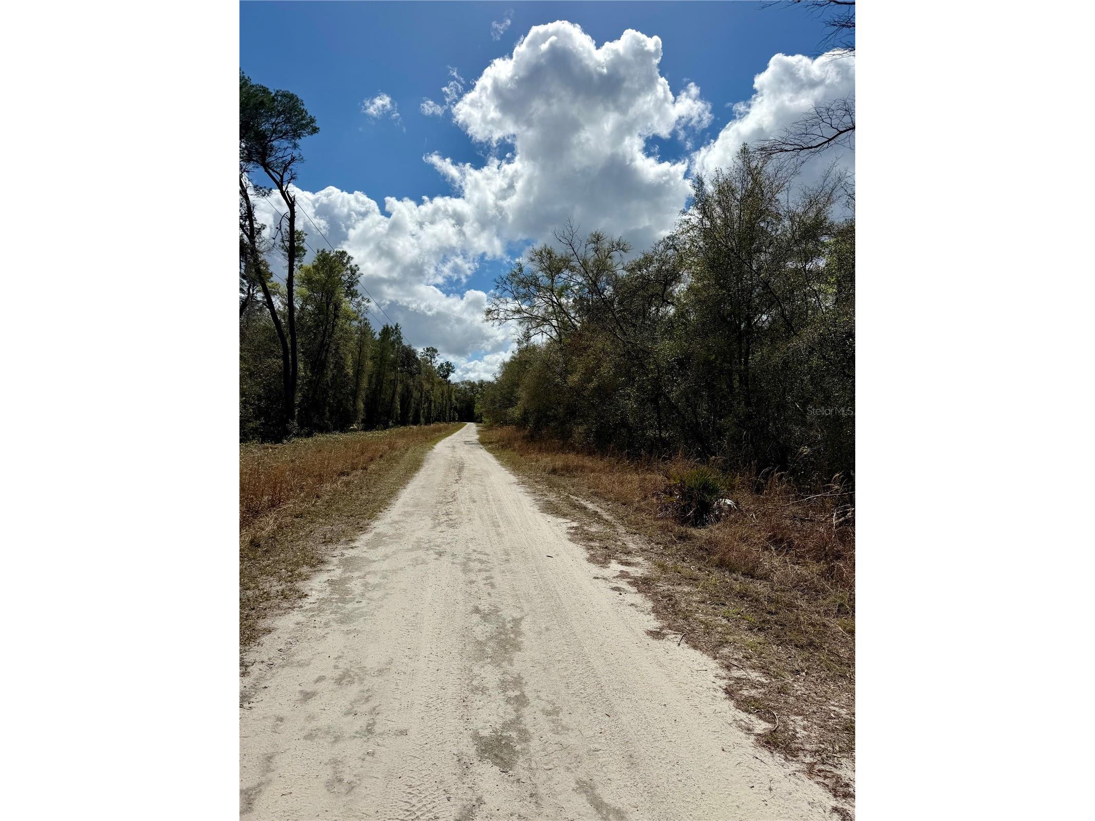 TBD NE 110th Court Fort Mc Coy FL 32134 OM719902 image4