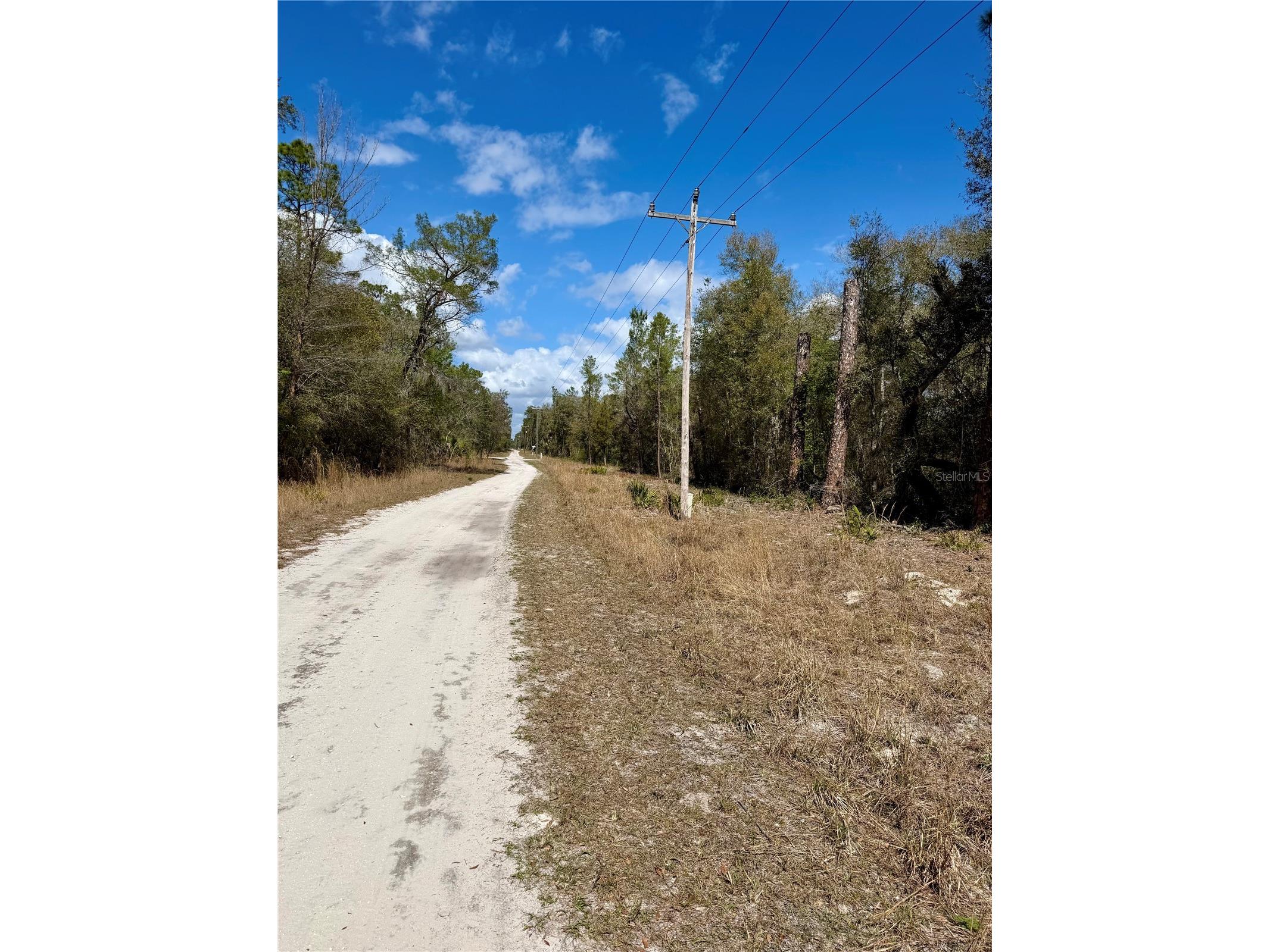 TBD NE 110th Court Fort Mc Coy FL 32134 OM719902 image5