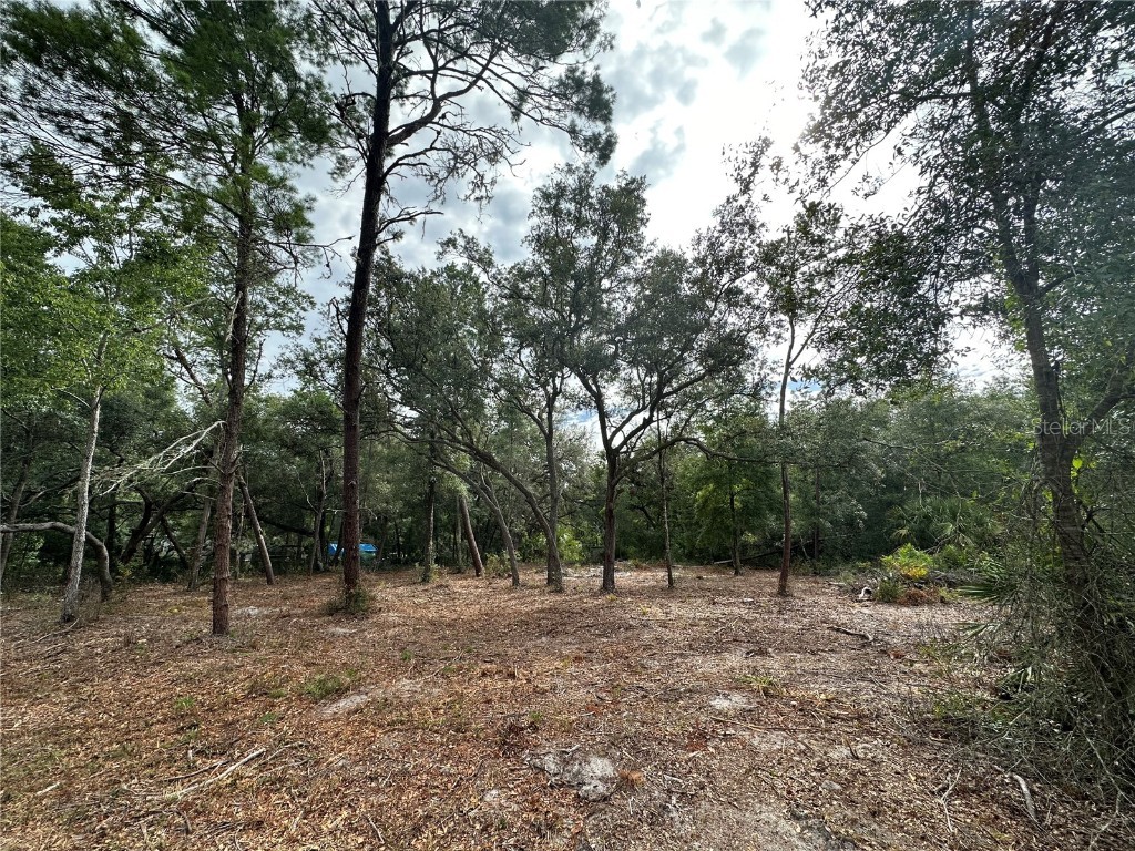 TBD NE 111 Court Fort Mc Coy FL 32134 OM661970 image1