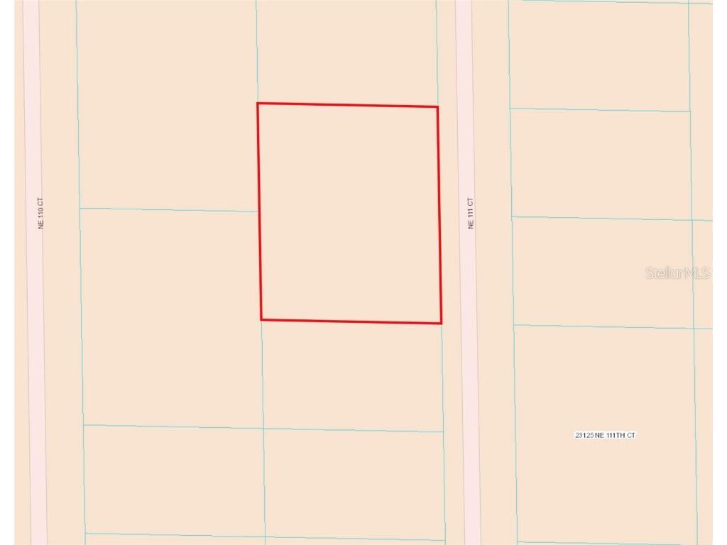 TBD NE 111 Court Fort Mc Coy FL 32134 OM661973 image1