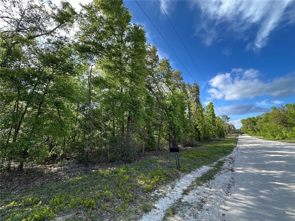 TBD NE 113th Ave & Ne 86th Lane Bronson FL 32621 OM700005 image1
