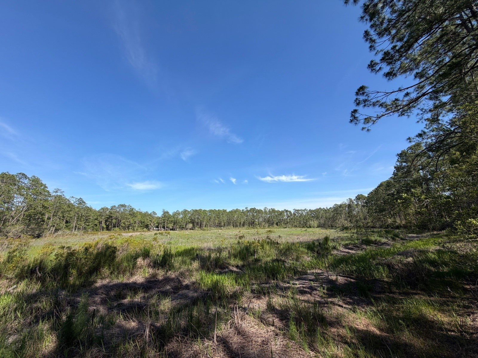 TBD NE 114 Ave Road Fort Mc Coy FL 32134 OM726038 image1
