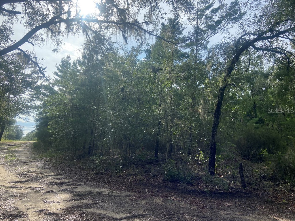 TBD NE 116th Street Bronson FL 32621 A4575385 image1