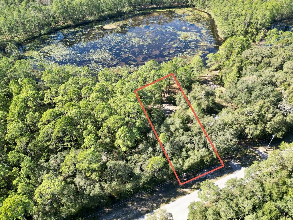 TBD NE 117th Avenue Fort Mc Coy FL 32134 OM689662 image1