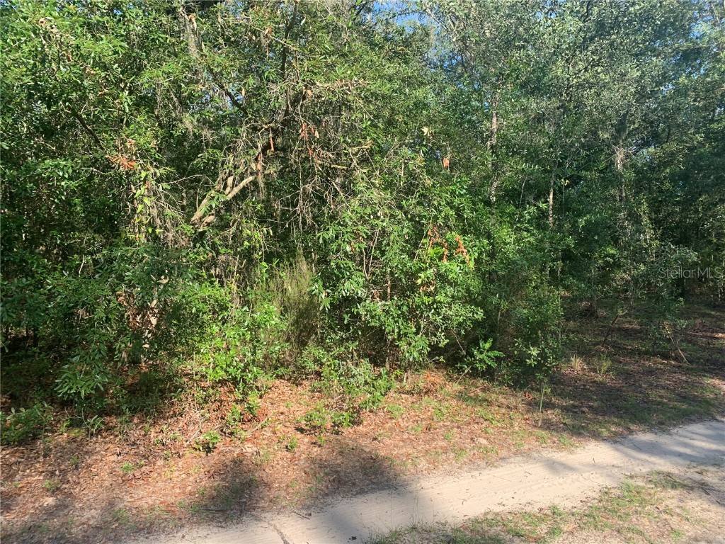 TBD NE 118th Lane Bronson FL 32621 A4581125 image1