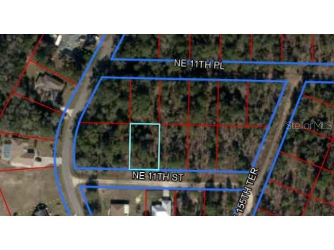 TBD NE 11th Street S Williston FL 32696 O6172963 image1