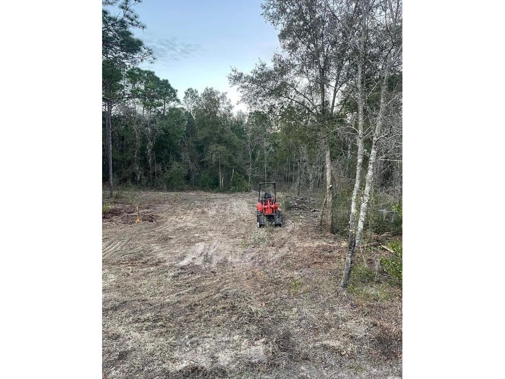 TBD NE 11th Street S Williston FL 32696 O6172963 image5