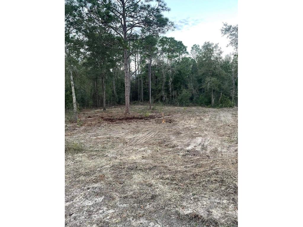 TBD NE 11th Street S Williston FL 32696 O6172963 image7