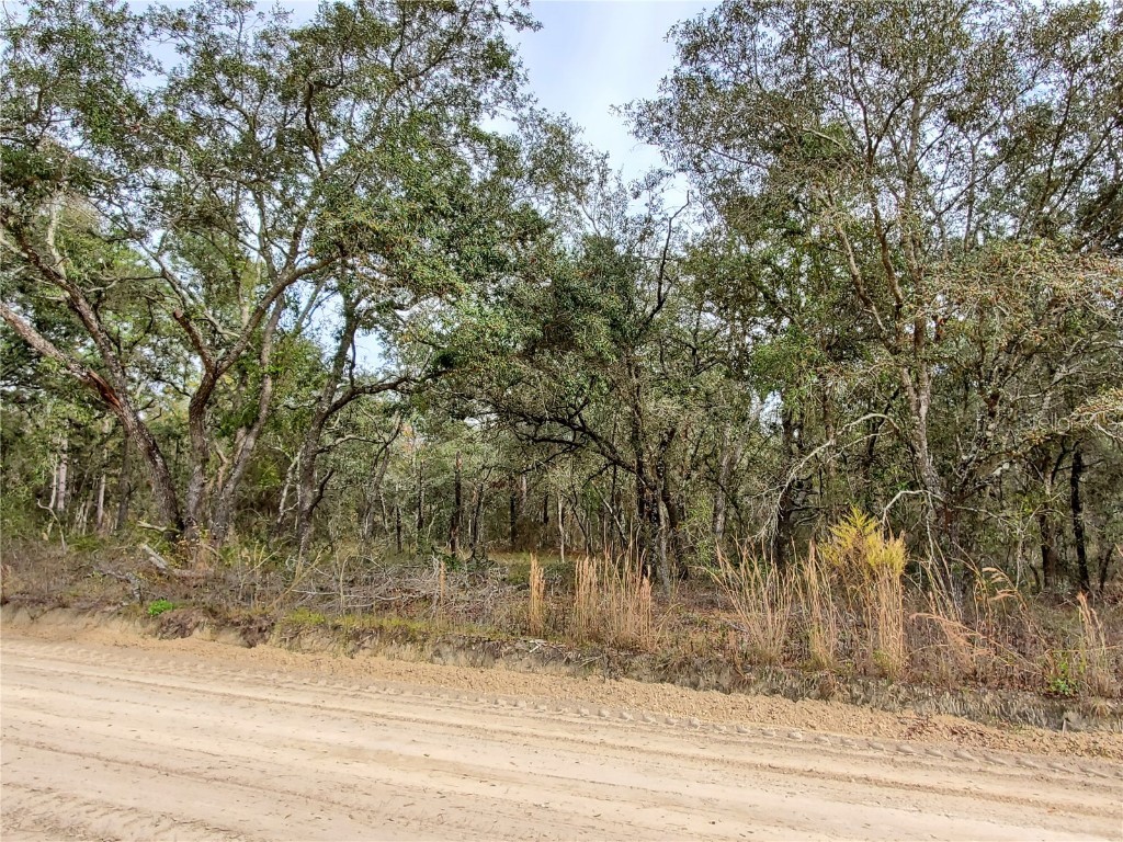 TBD NE 120 Avenue NE Williston FL 32696 GC517893 image1